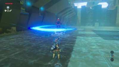 They got flying guardians in shrines now?