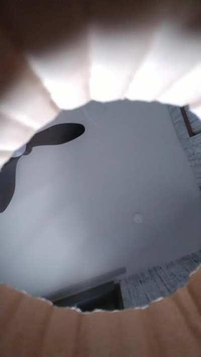 Instant regret entering the box