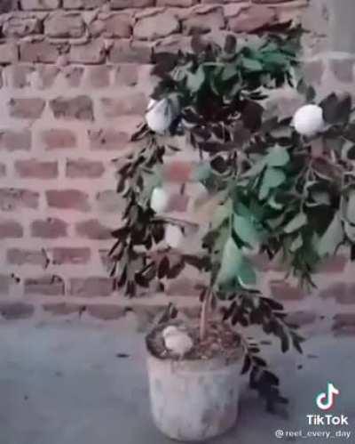 لما تشرب حته ب١٠٠ جنيه 😂😂😂