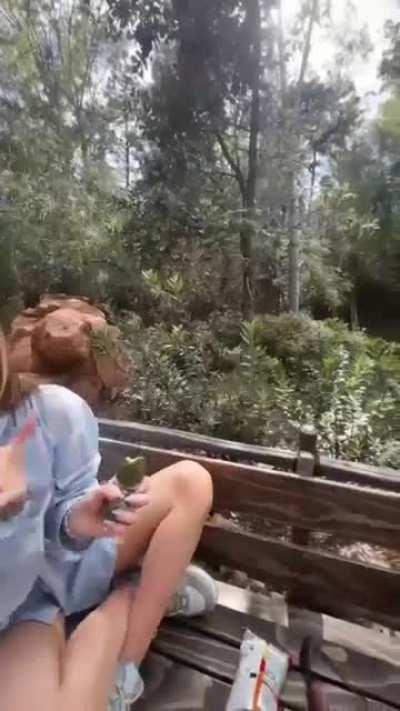 loren eating a pickle