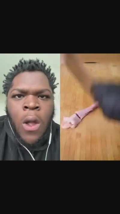 First a turtle now a duck