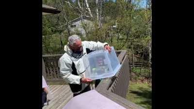 At making a bird release video.