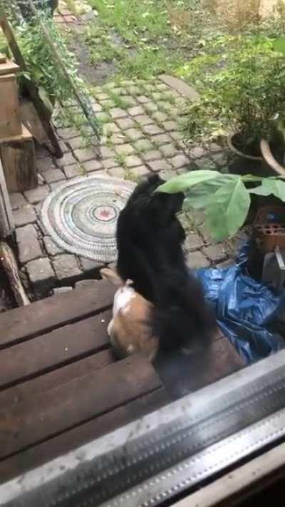 Ну чë, погнали?!