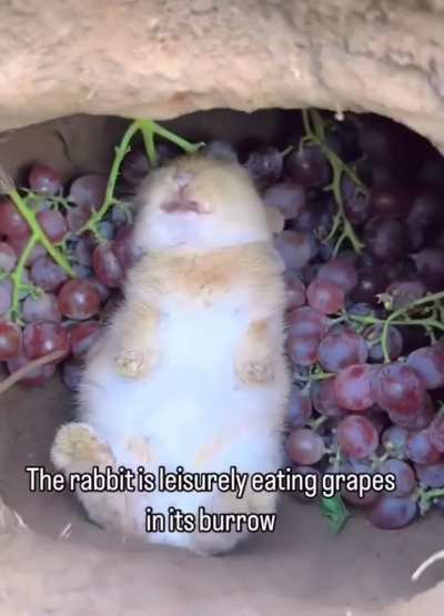 Just eating some grapes