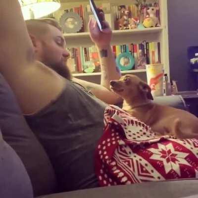 Dad!!!! Pay attention to me!!!!!