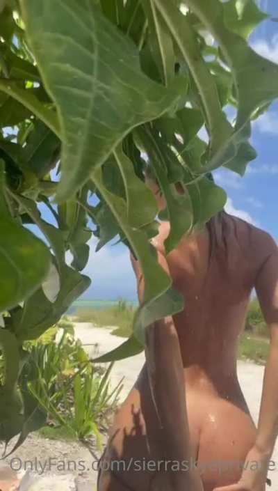 Ass GIF by madammeow