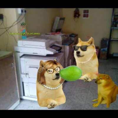 Papam cheems everyone thinks he is the retard