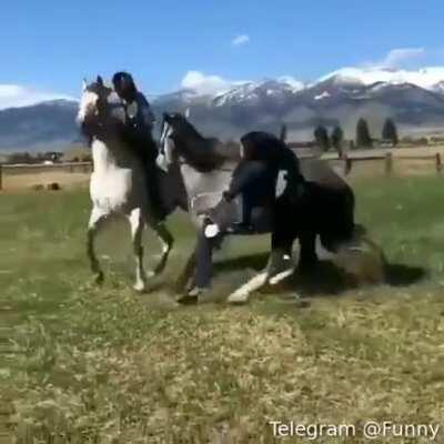 HMC While I pop this champagne