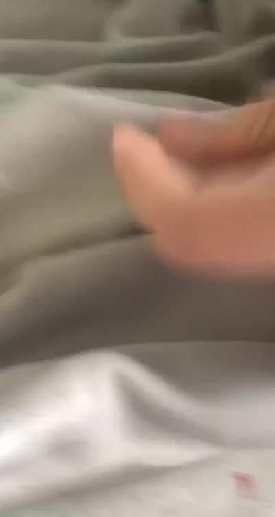 Miss Georgie decided to help herself to some chips after the free roam snackies were cut off