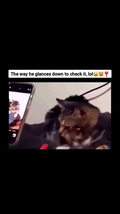 The way he glances down to check it 😂😂