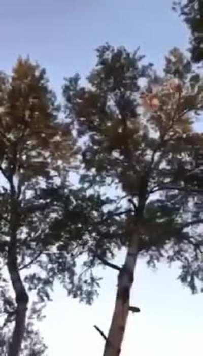 Ukrainian Forces attempt to use small arms fire to shoot down a Shahed drone over Kyiv - 10/17/22