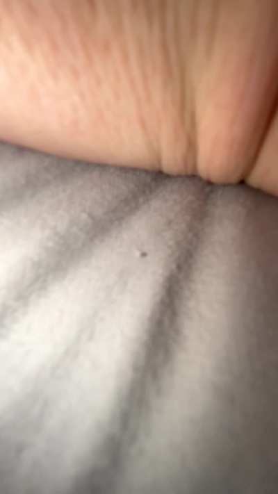 She’s so fucking hot