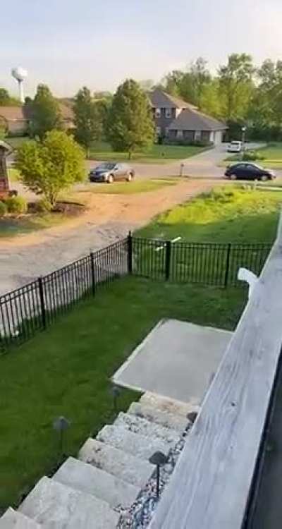 Mumma come back for her kitten !! ❤