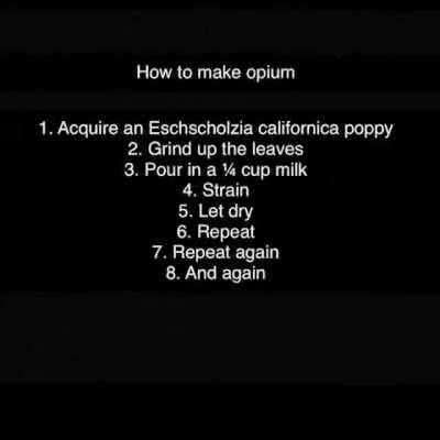 Hold on a minute what does that have to do with Capybaras???