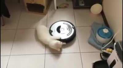 Roomba tester