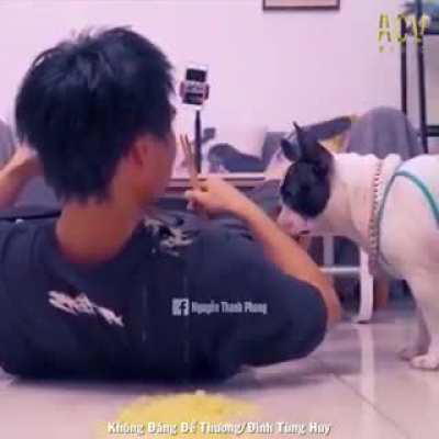 Where's MY food Brian?