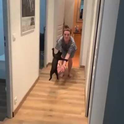 Jumping into mommy's arms