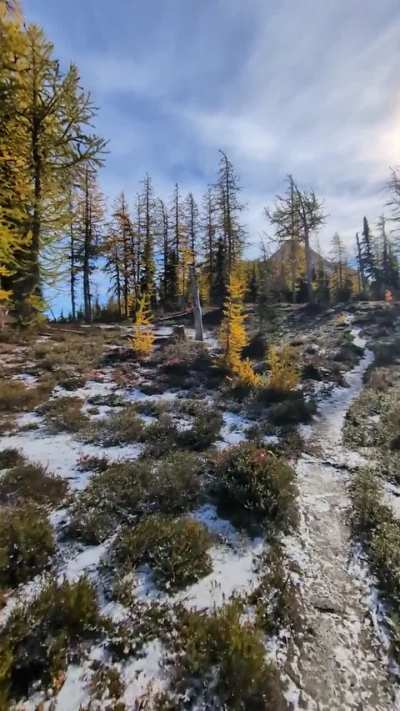 Almost time for larch madness