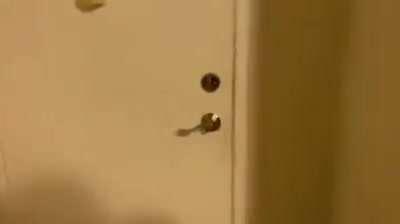 Ara ara... I will devour you.. 