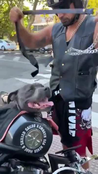 A good boi, a bike, and a big smile