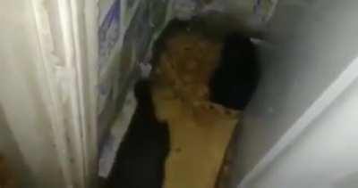 Night party in black hole