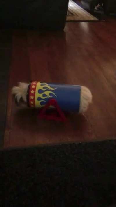 I think she likes her Christmas present