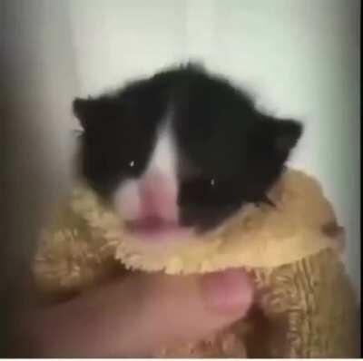 que esto ayuda porfavor