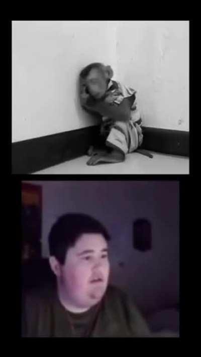 Cat hurt monke, monke cry, cat bad