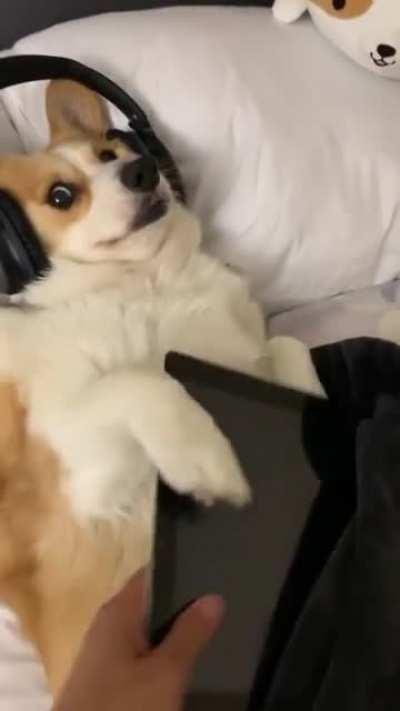 Time for school get up!!!