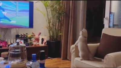 Kitty is living through the cartoon...