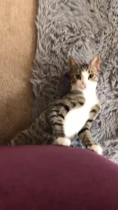 My sweet girl, having a morning chat...