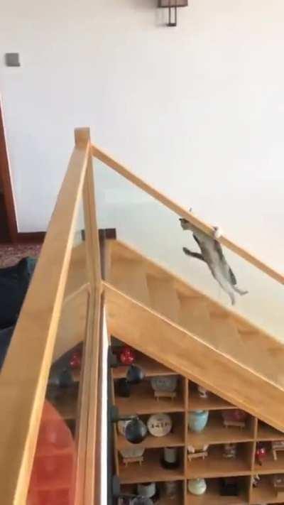 Me trying my best in life.