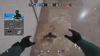 This Jackal has the biggest brain