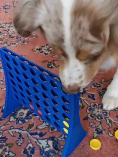 Thanks, I love this dog