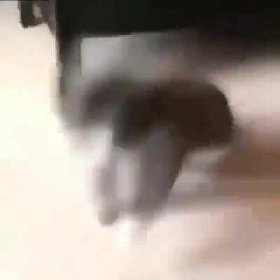 El fagchat cuando timi se para