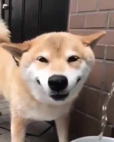 The most delicious water in the world.