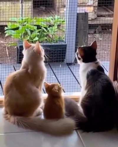 He's always surrounded by his bodyguards.