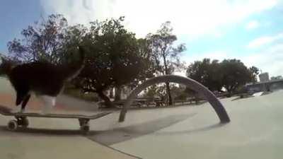 This video made my day.