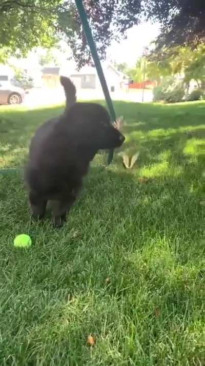 Hello my friend 🦋