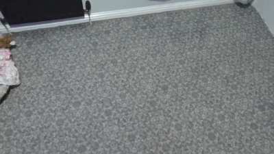 This carpet is going nuts on some acid