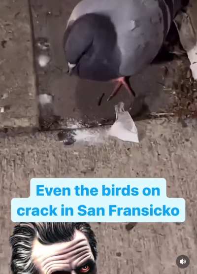 Now what’s the possibilities of this being faked 