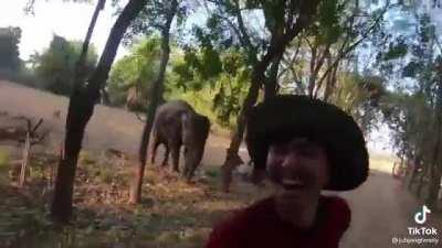 GIANT BABY ZOOMIES ...