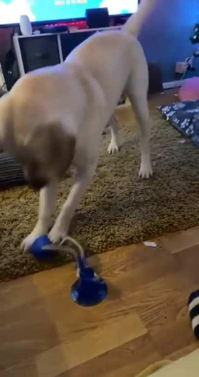 Predictable, still funny