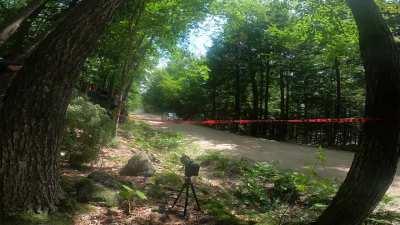 And today's playlist is nature sounds, followed by crowd cheering and ending it with a powerful rally car sounds.