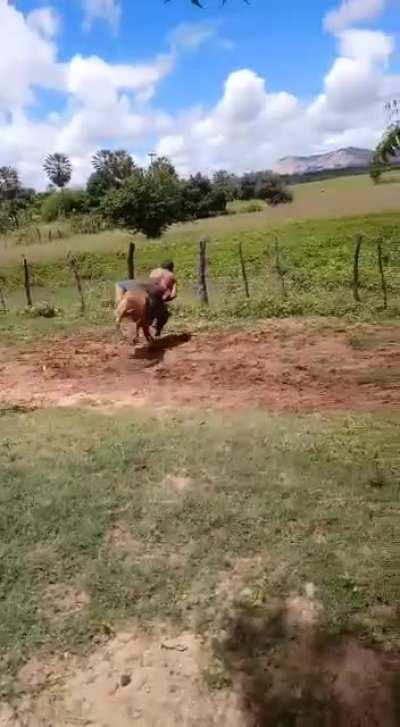 PedroDBR - Video #6178