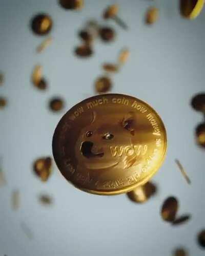 DOGE Coin to the Moon 🌙 WE MUST HODL!!!