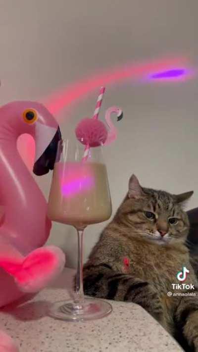 Me waiting for that bumble date that never showed.