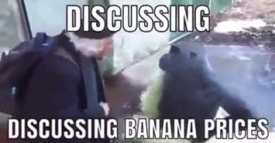 monke discussing banana prices