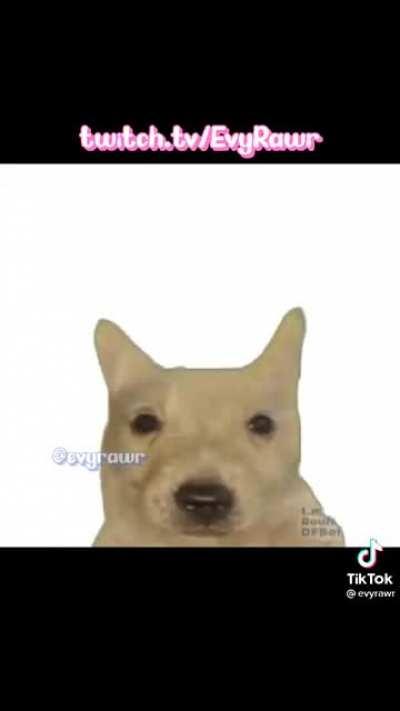 Meme robado pero gracioso