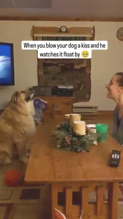 Where is the kiss going to?